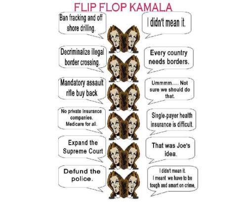 46b6c6d1-ff9e-4ed1-8ff7-ceae9c2db298_958x784