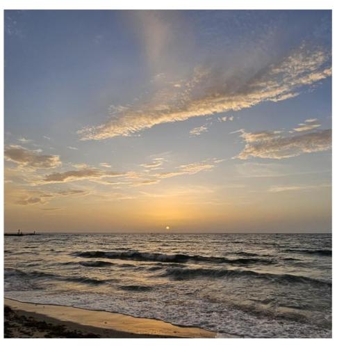 bae84aea-5286-4c9e-9f7a-cfeb51b4aea8