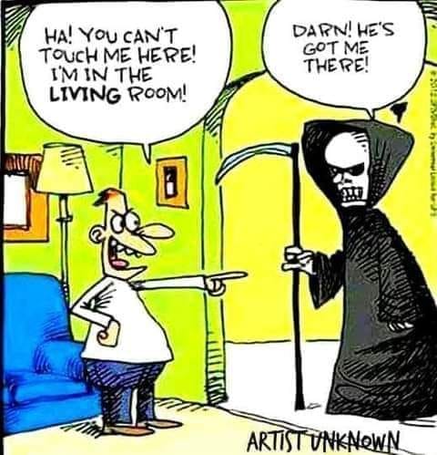 454491931_8436991269666404_3335227201372501117_n