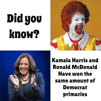 kamala harris334