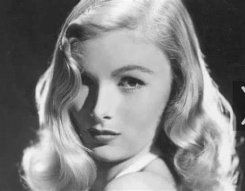 d8b6c529-0e7c-4286-8c8c-13ebb58248e1