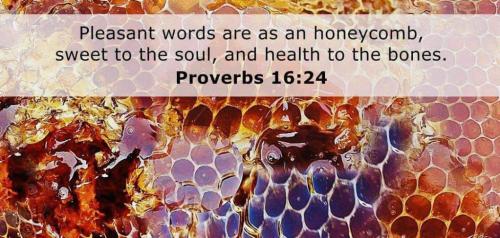 82025438-c7ab-4ded-9d60-ed2332e19cec