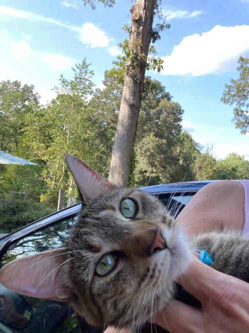 BF0AE15C-890D-471E-8B3F-71AF76DC91E5