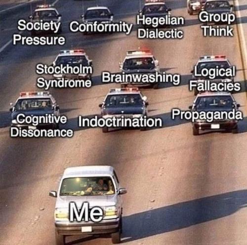 FB_IMG_1725028028469