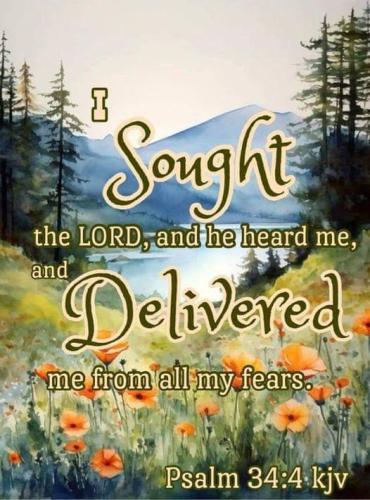 4db23143-9f4f-4a27-b258-9b21b3148a9e