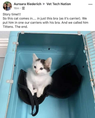 23:34:25 GMT-0500 (CDT)