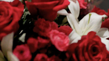 Tumblr_l_1454562272933