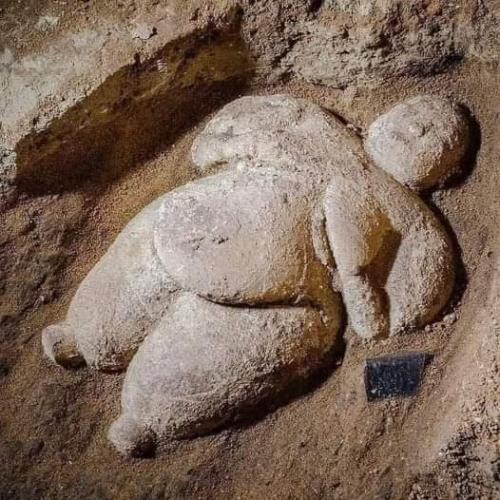 303ee392-b618-4f76-9f87-d542b2c6cbda