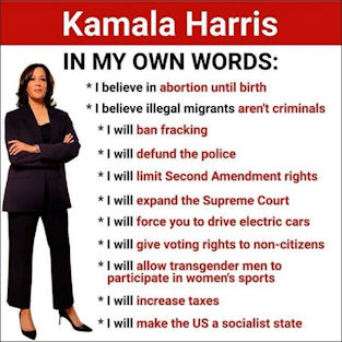 kamala harris463