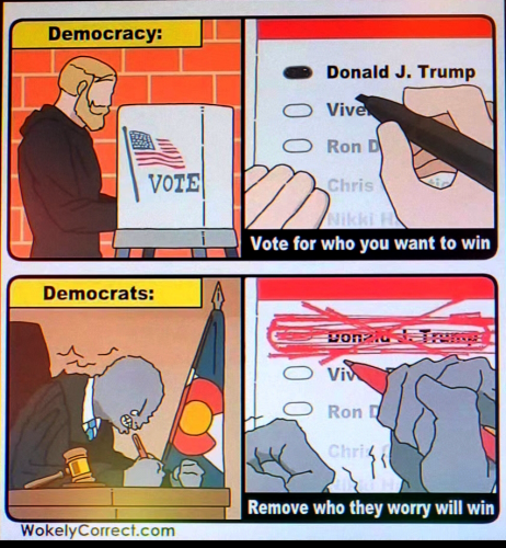 meme of day democracy ballot remove trump judge corrupt court