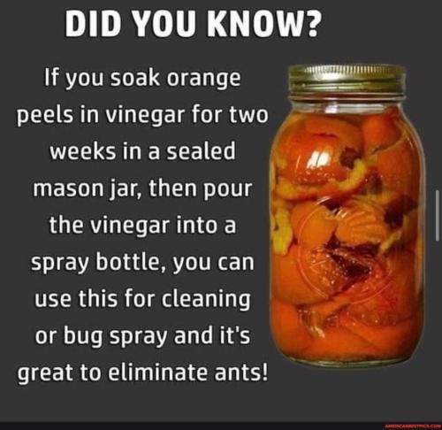 dd68a6a79d4b5604e83bb779fe8e043a16ef4b8ded944bdd3725bbae4e056f4c_1