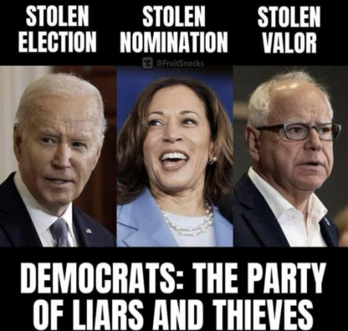 image_2024-08-09_061212555