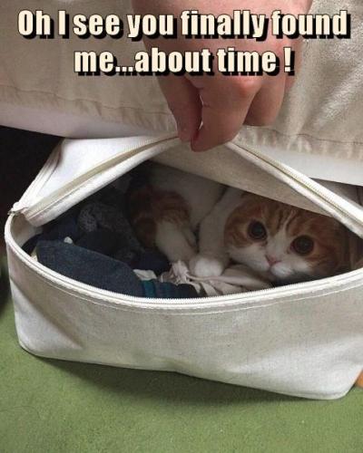 oh-i-see-you-finally-found-meabout-time