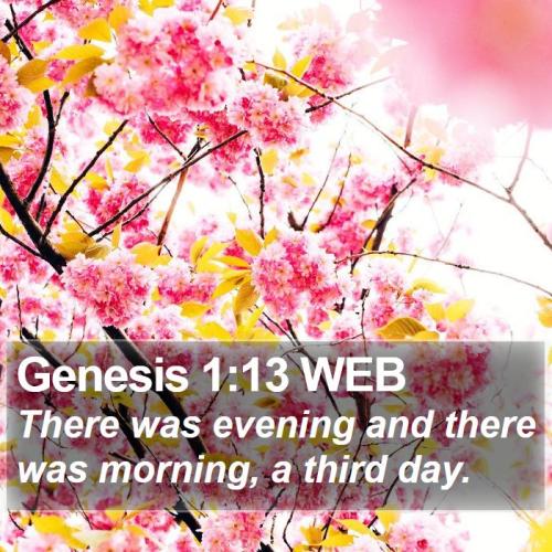 Genesis 1_13