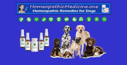 homeopathicdogs