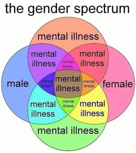 Transgender Spectrum 1