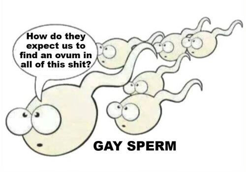 Gender Confusion You are here because your father wasn't queer.