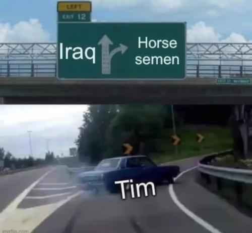 iraqhorsesemen