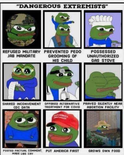 image_10298F74-52C0-4DA0-9147-DA20BA94B80F