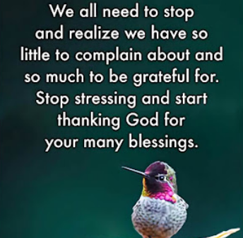 Screenshot_20240811-190134~3