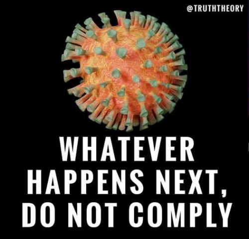 whatever happens next