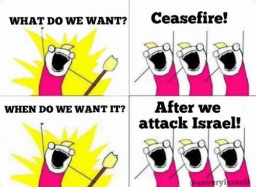 ofcy2buqic509jsc0clp_800[1]