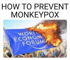 monkeypox49
