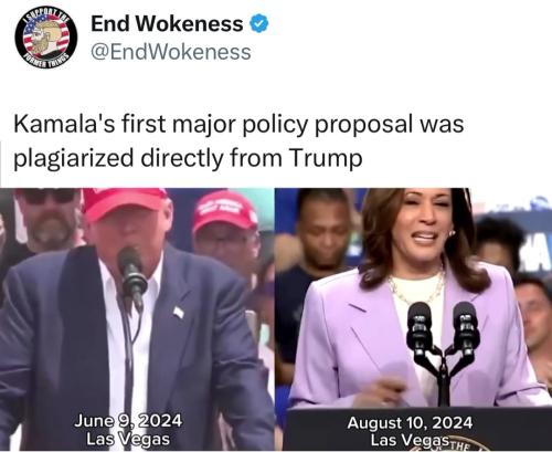 Screenshot_20240811_111224_Instagram