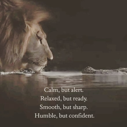 IMG_20240802_041038_264