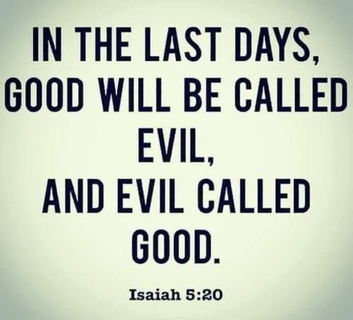 D124EE63-C3EE-453B-AE56-C6B5BBE7D4C4