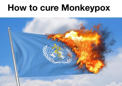 6E0A98B5-C161-48B2-A4C6-787C4FDB2013