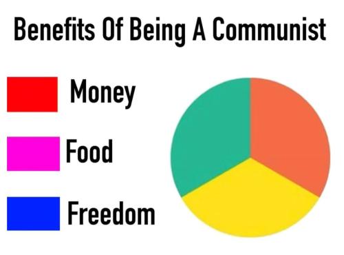 Screenshot_20240819_223225_Instagram