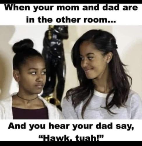 de8d64e2-6c04-4a7f-afbf-85f208eb27f5