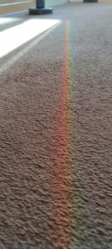 IMG_20240812_180912061