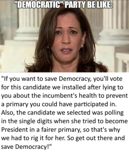 image_2024-08-05_063235394