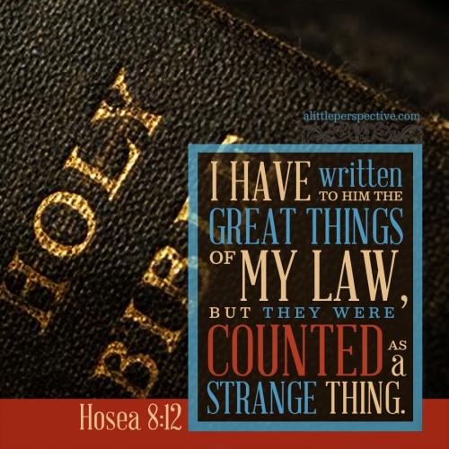 hos-8-12-KJV-unsplash-9x