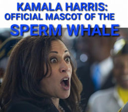 kamala harris319
