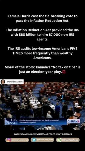 irs agent f