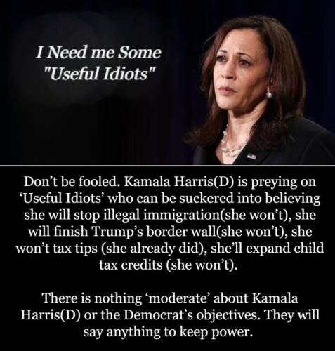 kamalas useful idiots
