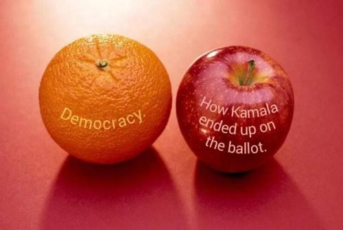 863b9914-59f2-49cc-8717-fc8bd9cae6da