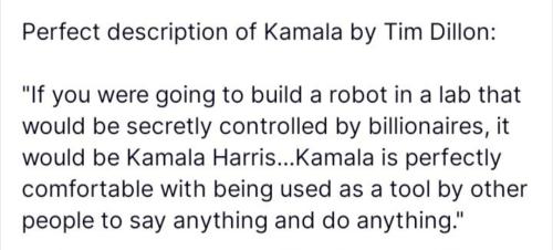 Screenshot_20240804_173545_Wimkin Free Speech Social Media