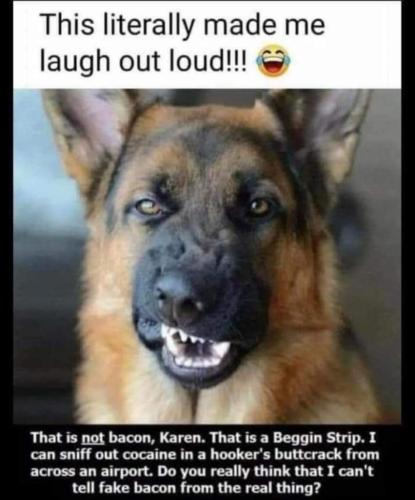 564a30be-78ef-47c7-a646-295f92bc806c