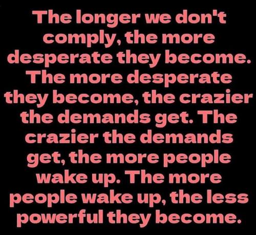 photo_2024-08-12_11-42-05