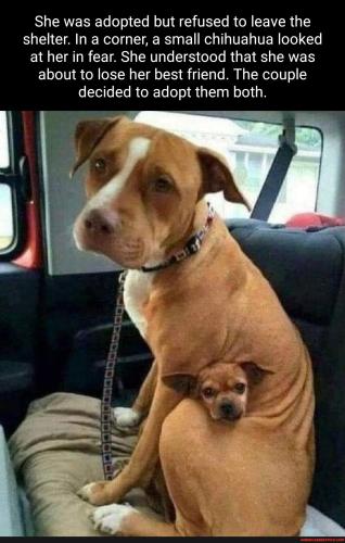 20a0d2072a8e378dd2b45b55a7d3ff447e4ec9c7a388f1e0a161f1bf89fba491_1