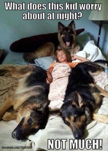 large-dog-meme-2-600x840