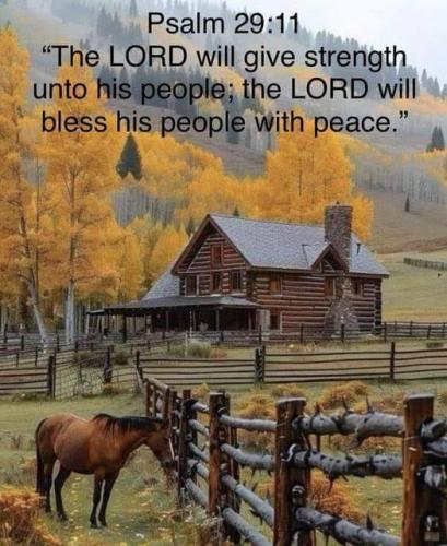 026081b1-f1b0-4129-ab85-1f67d1b15fe1