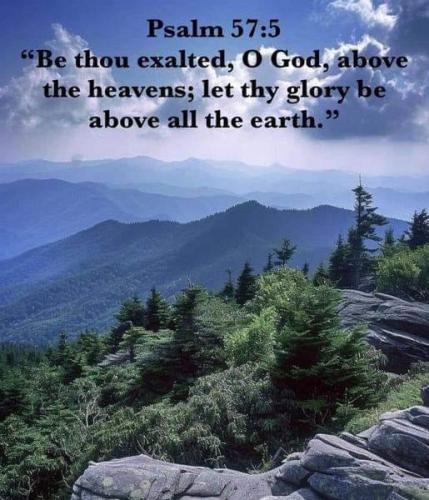 03e676e1-5f5c-4d11-9f32-3e92787e0ca8