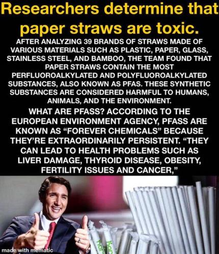 paper straws