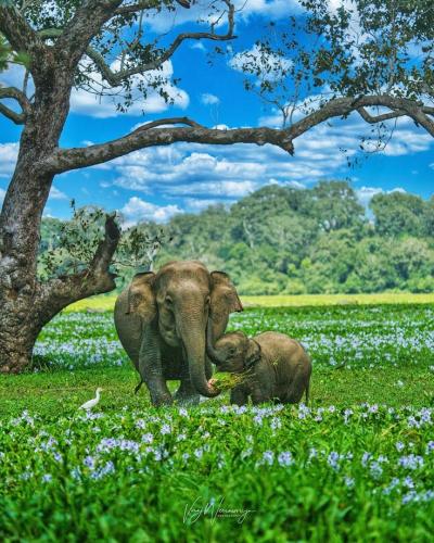 20240806_191658