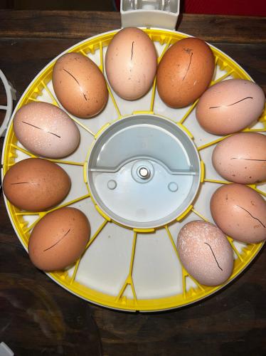 96AE1439-3D4A-4180-8027-C23564AA8379